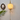 Modern Flower Glass Wall Mounted Light