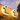 Bear Paw Solar Light
